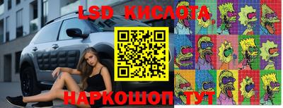 винт Будённовск