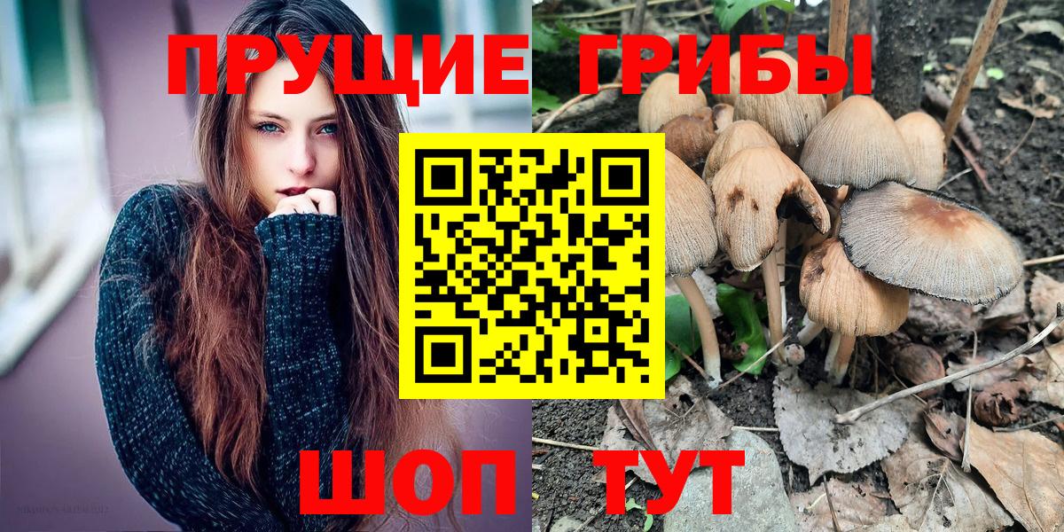 Псилоцибиновые грибы Magic Shrooms  цена наркотик  Лыткарино  Вход с VPN 